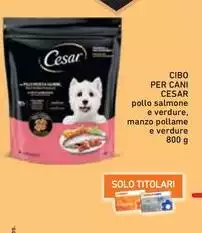 Cesar - Cibo Per Cani Cesar - Cibo Per Cani