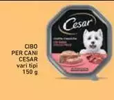 Cesar - Cibo Per Cani Cesar - Cibo Per Cani
