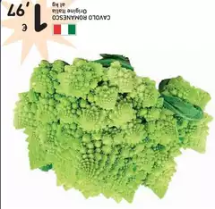 Cavolo Romanesco