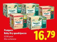 Pampers - Baby Dry Quadripacco