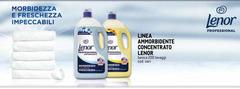 Lenor - Linea Ammorbidente Concentrato
