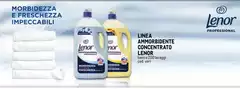 Lenor - Linea Ammorbidente Concentrato