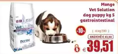 Vet - Monge  Solution Dog Puppy 5 Gastrointest!nat