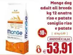 Monge -  Dog Adult All Breeds