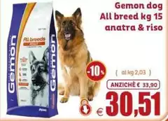 Gemon -  Dog All Breed
