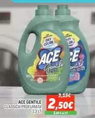 Ace - Gentile Ace - Gentile