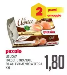 Piccolo - Le Uova Fresche Grandi L Da Allevamento A Terra