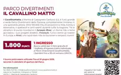 Parco - Il Cavallino-Matto Parco - Il Cavallino-Matto