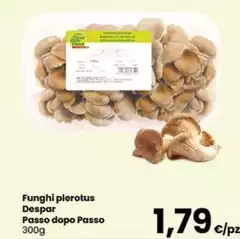 Despar - Funghi Plerotus Passo Dopo Passo