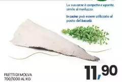 Filetti Di Molva Filetti Di Molva