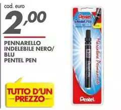 Pentel - Pennarello Indelebile Nero/Blu