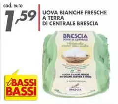 Bassi - Uova Bianche Fresche A Terra Di Centrale