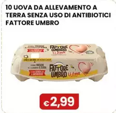 Fattore Umbro - 10 Uova Da Allevamento A Terra Senza Uso Di Antibiotici