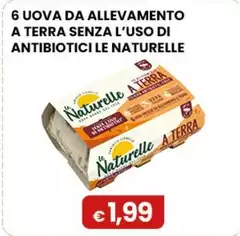 Le Naturelle - 6 Uova Da Allevamento A Terra Senza L’uso Di Antibiotici 