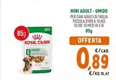 Royal Canin - Mini Adult Umido