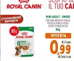 Royal Canin - Mini Adult