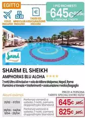 Blu - Amorhoras  Aloha