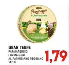 Gran Terre - Parmareggio Formaggini Al Parmigiano Reggiano