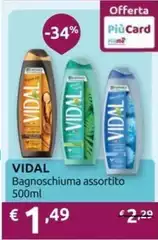 Vidal - Bagnoschiuma