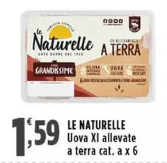 Le Naturelle - Uova Xl Allevate A Terra