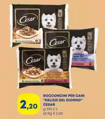 Cesar - Bocconcini Per Cani "Delizie Del Giorno"