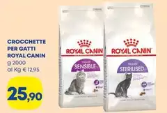 Royal Canin - Crocchette Per Gatti