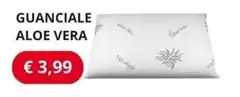 Vera - Guanciale Aloe