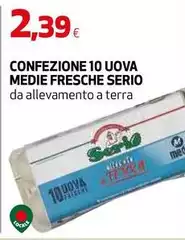 Confezione 10 Uova Medie Fresche
