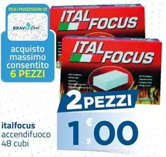 Italfocus - Accendifuoco