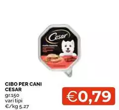 Cesar - Cibo Per Cani