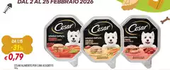 Cesar -  Aluminio Per Cani Assortiti