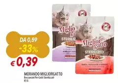 Morando -  Migliorgatto