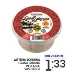 Latteria Soresina - Grana Padano In Scaglie Vaso