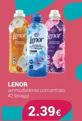 Lenor - Ammorbidente Concentrato Lenor - Ammorbidente Concentrato