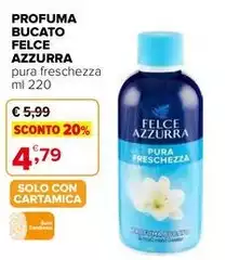 Felce Azzurra - Profuma Bucato