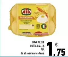 Aia - Uova Medie Pasta Gialla