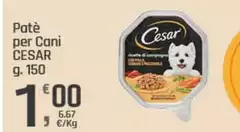 Cesar - Patè Per Cani