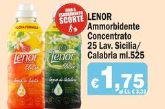 Lenor - Ammorbidente Concentrato