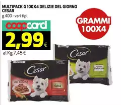 Cesar - Multipack G 100x4 Delizie Del Giorno