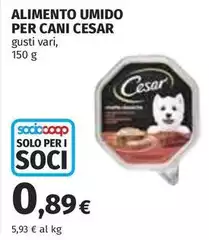 Cesar - Alimento Umido Per Cani