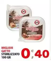 Morando - Miglior Gatto Sterilizzato
