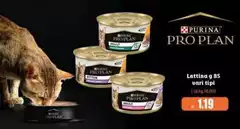 Purina - Lattitina