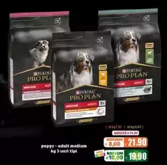 Purina - Puppy-adult Medium