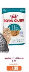 Royal -  Canin Aging