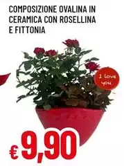 Composizione Ovalina In Ceramica Con Rosellina E Fittonia