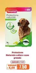 Beaphar - Protezione Naturale Collare Cane Grande
