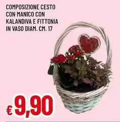 Composizione Cesto Con Manico Con Kalandiva E Fittonia In Vaso