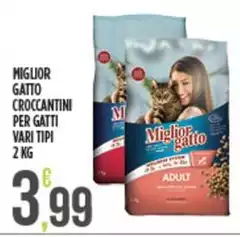 Morando - Miglior Gatto Croccantini Per Gatti