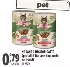 Morando -  Miglior Gatto