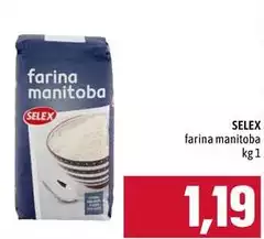 Selex - Farina Manitoba